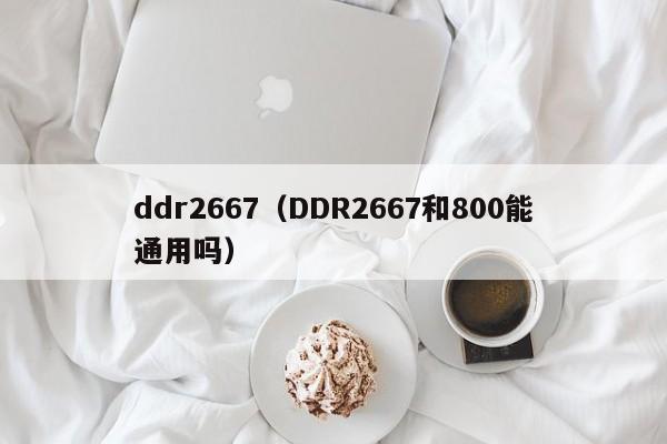 ddr2667（DDR2667和800能通用吗）